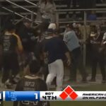 Game Baseball é o caos até o caos como jogadores e fãs em campo