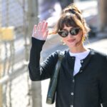 Você nunca acha que esta é uma sacola de US $ 32 não é Dakota Johnson foi de US $ 3.950 Gucci Jackie Pick
