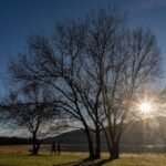 O aumento dos regulamentos solares pode causar uma redução importante na emissão de CO2