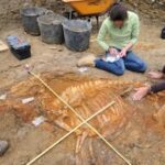 Eles encontraram o resto do homem que sobrevive há 4.000 anos