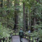 Trump é provável pela sinalização ‘Signatriótica’ do Parque Nacional. Como é um dos lugares da Califórnia