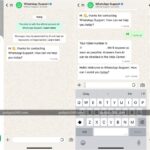 Whatsapp para adicionar suporte junto com a resposta a IA no iOS
