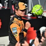 Lando Norris ganha Mirli Lix Majik e Narial Silcas