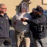 Fugitive fue arrestada tres años después de que estaba enojada con el enorme grupo de abejas y luego los colocó en la policía y detuvo una extracción ‘