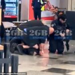 Hero Bistander revela la acción de la fracción de segundo que ha dejado de convertir el incidente del arma del aeropuerto de Sydney