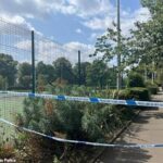 Chico, de 15 años, ‘adolescente atacado cerca de las canchas de tenis’