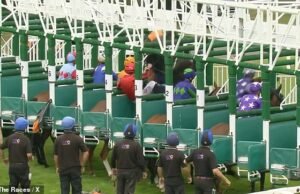 No momento, um cavalo de cavalo com tamanho de cavalo destruído nas janelas