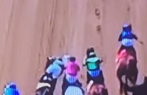 As quedas povoadas caíram e rival entre a corrida em um slotto