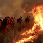 Canyon Fire: Zona de Evakualização, capa da loja, tiroteio
