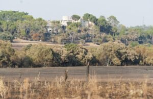 A comunidade foi proibida de faíscas e fogos de artifício na floresta terrina até a terça -feira