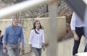 Felip VI e Latezia visitam a província de sexta -feira para aprender sobre danos causados pelo incêndio