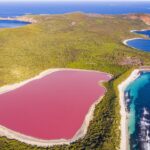 O lago rosa australiano: no resto do rio antigo agora vê e micróbios que fazem pigmentos rosados