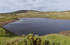 Logareajem: “Lake que desaparece” na Irlanda do Norte que misteriosamente drenou e reabastece em poucas horas