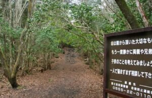 A pergunta de Akkagara, uma selva densa e silenciosa do Japão que está em torno do desaparecimento de uma lenda dolorosa e ancestral