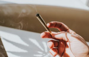 Bhang aumenta o risco de câncer?
