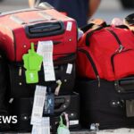 Cómo se ha transformado la tarifa de la aerolínea en equipaje miles de millones