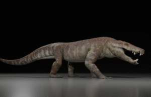 70 milhões de anos de hiperackernivor comido dinossauro em nome do deus egípcio