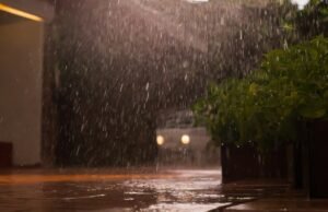 Clima na Virgínia: amanhã, 18 de agosto. Saiba a previsão do tempo de B Shabourna