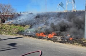 Receba um novo incêndio nas Ilhas do Paraná e verifique se elas foram intencionalmente