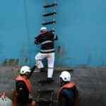 Capitão Maritime liga 30 e irá "quebrado" Sobre descarbonização do setor marítimo, de acordo com o transporte