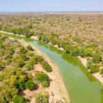O conector impactável é carregado na África para transformar a prata gigante ‘via fenômeno raro – terra do espaço