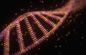 O “envelhecimento do relógio” pode prever seu risco de doença e morte precoce. Aqui está o que saber.