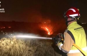 A planta na onda controlava o fogo