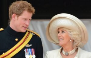 Príncipe Harry, anos de relacionamentos da rainha Camil