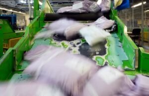 As pequenas empresas do Canadá enfrentam desafios como um envio gratuito nos Estados Unidos