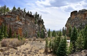 Ranger de Collorado Park preso por supostamente atingir