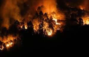 O escritório do advogado do governo perguntou se os municípios, que são os mais afetados pelo incêndio, têm planos de prevenção