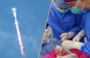 Notícias científicas nesta semana: transplante mundial de pulmões pulmonares