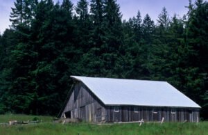 Um terremoto misterioso que sacode o norte da Califórnia em 195 44 veio da Zona de Subcção de Cascadia.