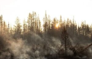 A ordem de deportação foi emitida para o Fort Providence, apesar das ameaças da vida selvagem