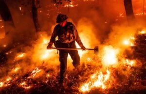 Ordenado como um extintor de incêndio selvagem no norte da Califórnia e Orgon