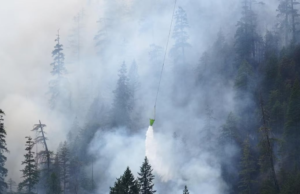 Os bombeiros presos por combater o incêndio de Washington, os advogados exigiram acesso a aconselhamento jurídico