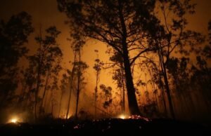 A Marinha também se reuniu para combater os bombeiros