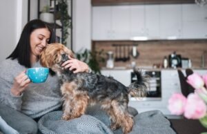 Spice de abóbora para cães é uma coisa em uma cozinha sincera finalmente