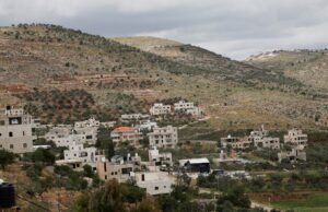 O exército israelense destruiu 000,3 oliveiras em Al-Mughair, destacando o deslocamento atual da Palestina.