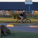A prolifiação fechada e o ambiente ambiental está resultante de outras situações que estão de volta para planejar a cidade