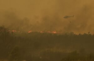 A convergência ferroviária está sendo suspensa entre o Zoora e a laranja