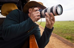 5 erros normais fazem os fotógrafos de vida selvagem recém -nascidos – e como evitá -lo