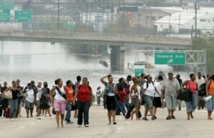 Herança do Katrina: Crivy Crivy Crise para obter informações sobre informações