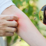 Existe uma pessoa roubada por mosquito e, além da pessoa certa: “a maior decisão do seu corpo”