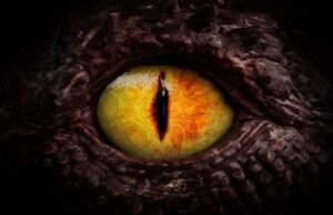 Condição de diagnóstico: uma mulher viu uma mulher como um dragão devido a uma condição rara