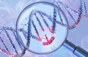 O homem diabético se produz insulina após transplante de células editadas por genes