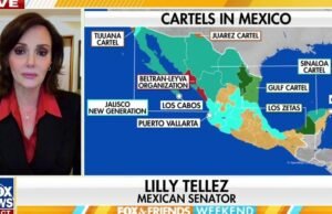 Lily Tellez, membro do Senado mexicano, abordou a intrusão do cartel no governo e com o papel potencial de Trump no fim de semana da Fox e Friends