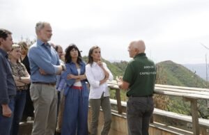 Los Medulas em Kings Lane substitui os afetados pelo parque