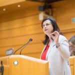 PP requer um governo da Espanha para comportamento e pare o aeroporto do aeroporto "Penalize as Ilhas Canárias"