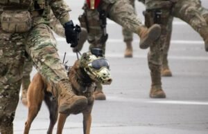 Estão de drogas prendeu três exército do Chile após surpresa